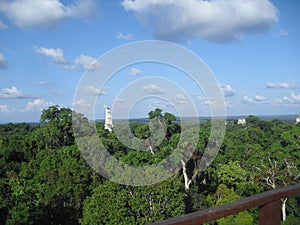 Tikal, Peten, Guatemala, Central America 13