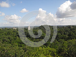 Tikal, Peten, Guatemala, Central America 14