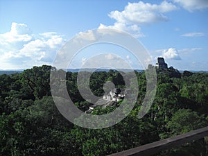 Tikal, Peten, Guatemala, Central America 19