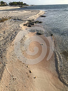 Tikehau pink beach