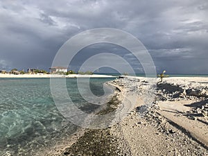 Tikehau pink beaches