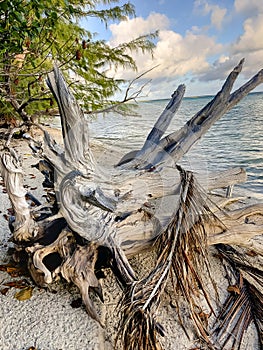 Tikehau, Tuamotus, French Polynesia