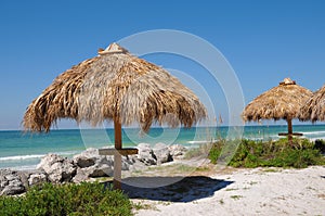 Tiki Hut on the Beach photo