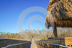 tiki hut and chairs in swamp