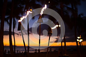 Tiki torch and palm trees silhouette after sunset