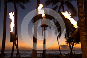 Tiki torch and palm trees silhouette after sunset