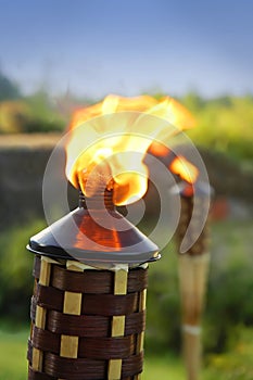 Tiki Torches