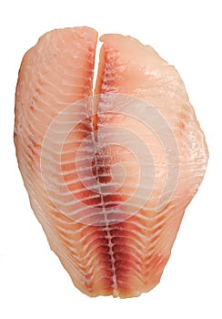 Tilapia fillet fish