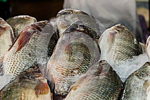 Tilapia fish fresh in ice sell on market.