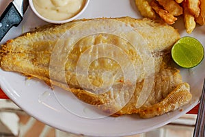 Tilapia fish steak on a white plate.