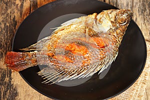 Tilapia fried fish