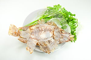 Tilapia grilled salt on white dish on white photo