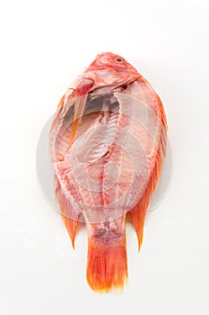 tilapia raw