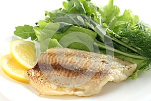 Tilapia with rucola and lettuce