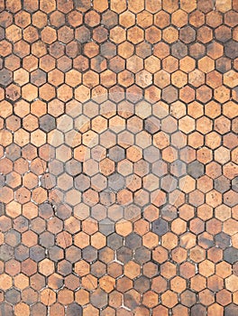 The tile floor looks like the honeycomb shaped of the footpath