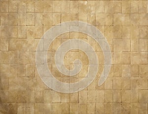 Tile Floor/Old World