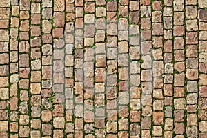 Walkway of stone bricks photo
