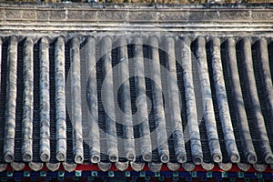 Tile Roof on the Pavillion