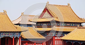 Tile roofs of Forbidden City(Beijing,China)