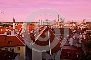 Tile roofs of old Tallinn