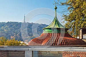 Tiled brown roof with green top with autumn tree on background