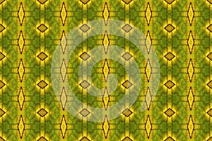 Tiled pattern from a close-up of an autumn leaf.