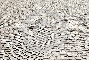 Tiled pavement background. Circle paving.
