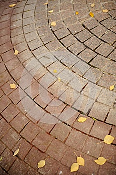 Tiled Pavement with Fallen Autumn Leaves