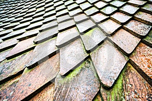 Tiled roof with moss
