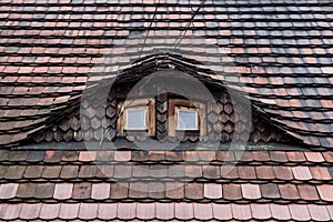 Tiled roof with two Windows