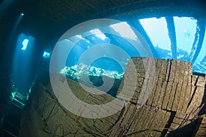 Tiles in the hold of a large shipwreck
