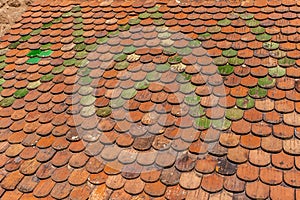 tiles, roof, Hohlandsbourg, castle, Wintzenheim, Medieval, Fortified castle, 1279, Fortress, France