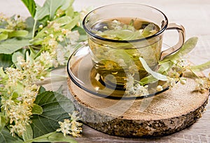 Tilia platyphyllos known as large-leaved linden herbal tea made out of an freshly picked blossoms. photo