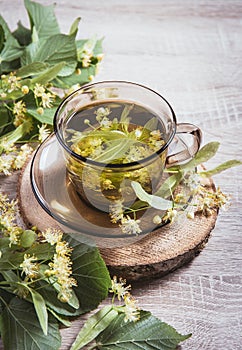 Tilia platyphyllos known as large-leaved linden herbal tea made out of an freshly picked blossoms. photo