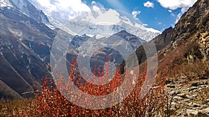 Tilicho Base Camp - A breathtaking Himalayan landscape