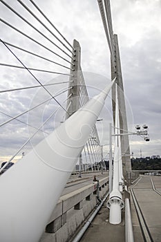 Tilikum Crossing Bridge