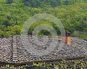 Tiling roof facing a forest