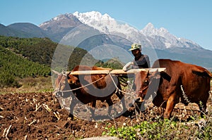 Till the field at foot of snow mountain photo