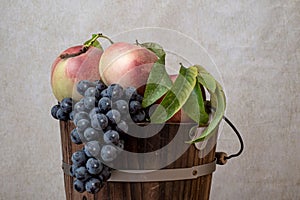 till life celebrating the California summer harvest