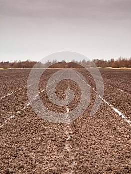Tilled field in winter