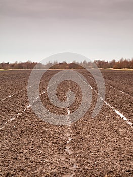 Tilled field in winter photo