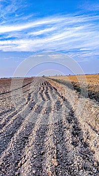 Tilled soil ridges furrows in dry ploughed field Agriculture farming land farm sol laboure, suelo labrado, solo arado, image photo photo