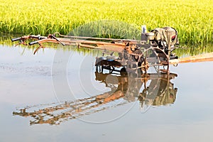 Tillers Water Reflections.