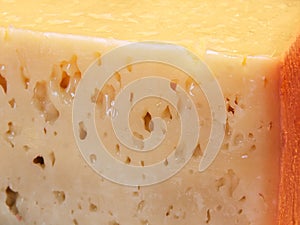 Tilsit cheese