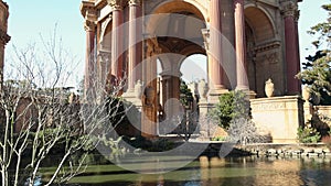 tilt footage of a beautiful spring landscape at Palace of Fine Arts with a lake, lush green trees and plants