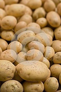 Tilt-shifted potatoes