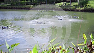 Tilt shot of small lake with water sprinkler