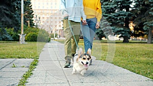 Tilt-up of happy young people walking welsh corgi dog in urban park kissing