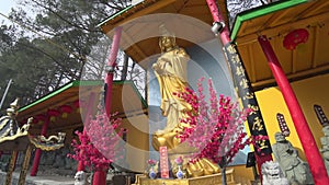 Tilt up shoot of the golden Buddha in the temple. Building exterior of a Buddies temple.