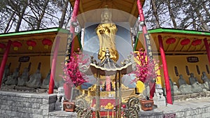 Tilt up shoot of the golden Buddha in the temple. Building exterior of a Buddies temple.